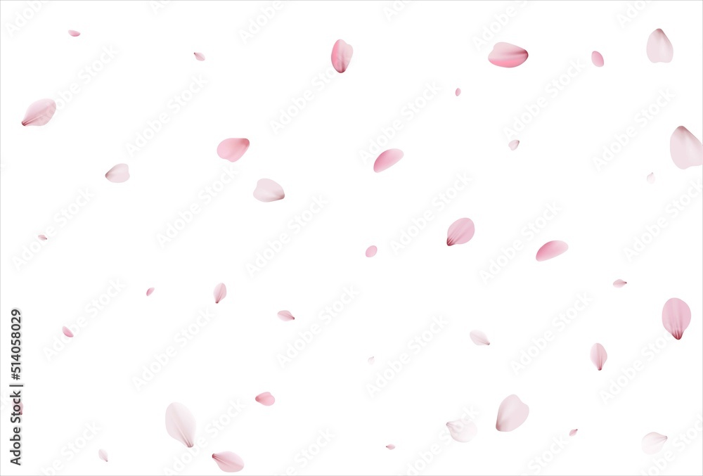 Sakura petals background. Cherry petals backdrop