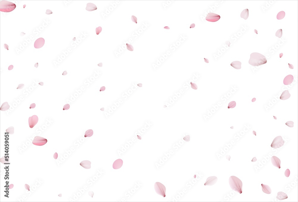 Cherry petals backdrop. Sakura petals background. Cherry petals backdrop. Sakura petals background.