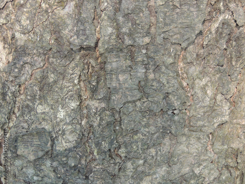 texture of stone
