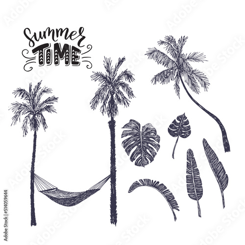 Set of hand drawn illustrations of palm trees, banana and monstera leaves, hammock and hand lettering inscription Summer Time. Sketches of tropical plants, great for photo overlays.