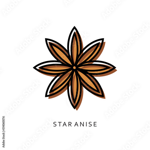 Vector image of star anise on a white background.