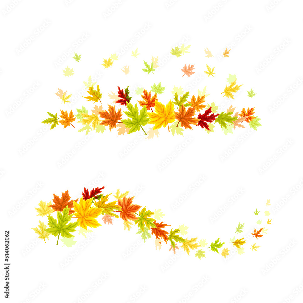 Maple Palmate Leaves of Bright Autumn Colour Arranged in Decorative Swirling Line Vector Set