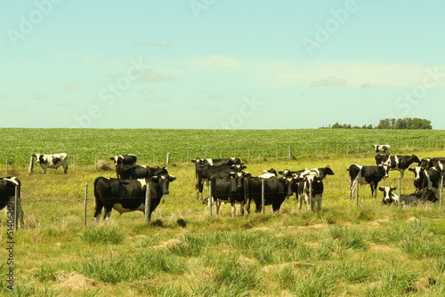 Wallpaper Mural 91 Torontodigital.ca