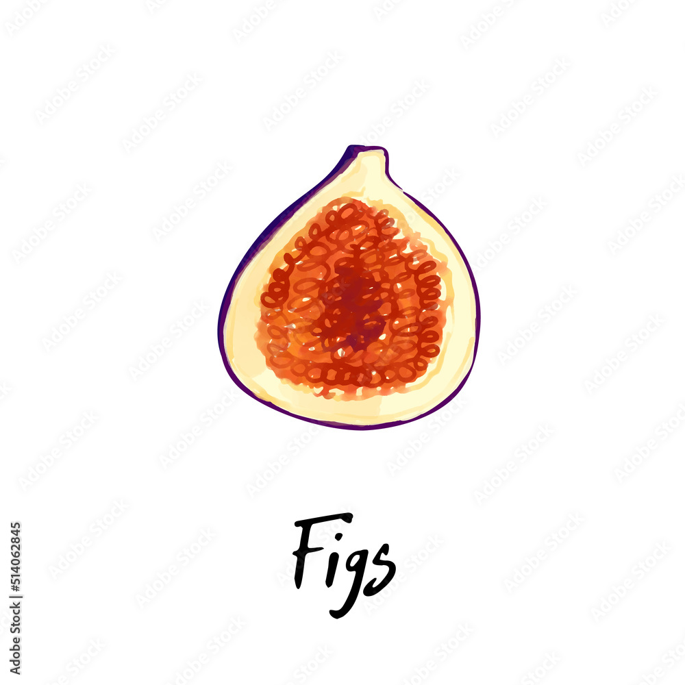 Illustration of a figs isolated on a white background Illustration of a figs isolated on a white background