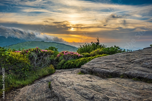 Roan Mountain Cloudy Sky Sunset above flowering rhododendrons on the North Carolina and Tennessee Border