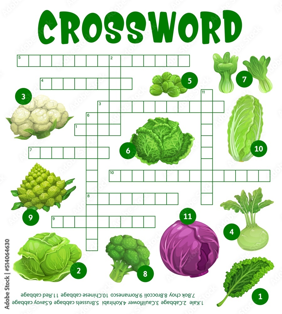 Raw cabbage vegetables on crossword puzzle worksheet find word quiz Raw cabbage vegetables on crossword puzzle worksheet find word quiz