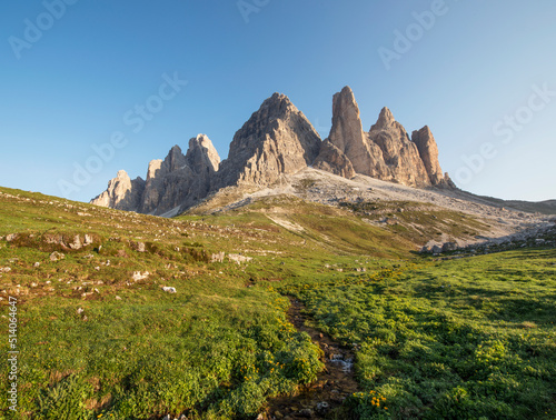 Mountains Panorama of the Dolomites at Sunrise with flowers in front