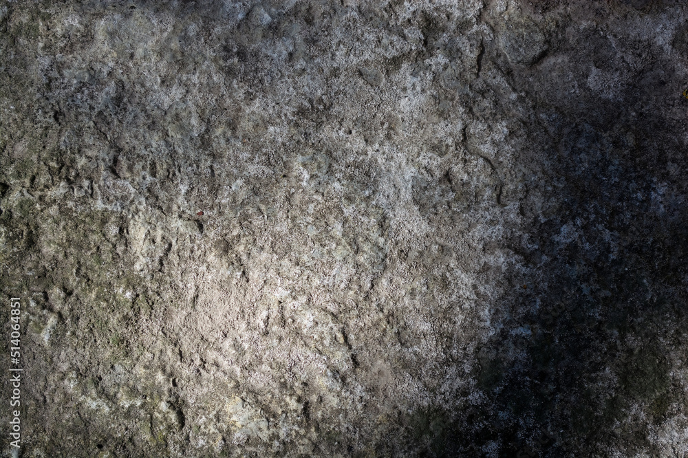 Gray stone background with fine moss and vignetting Gray stone background with fine moss and vignetting