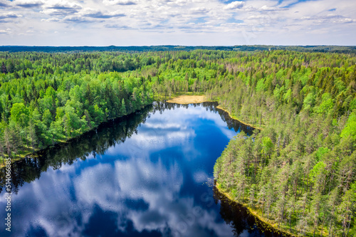 Aerial view of the forest and the river in which the sky is reflected. Summer landscape in the forests of Karelia