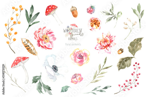 Fototapeta Naklejka Na Ścianę i Meble -  Watercolor woodland illustration of forest plants, berries, flowers, mushrooms, plant, berry, feather. Decorative design elements of forest flora design Isolated objects on white background, frame diy