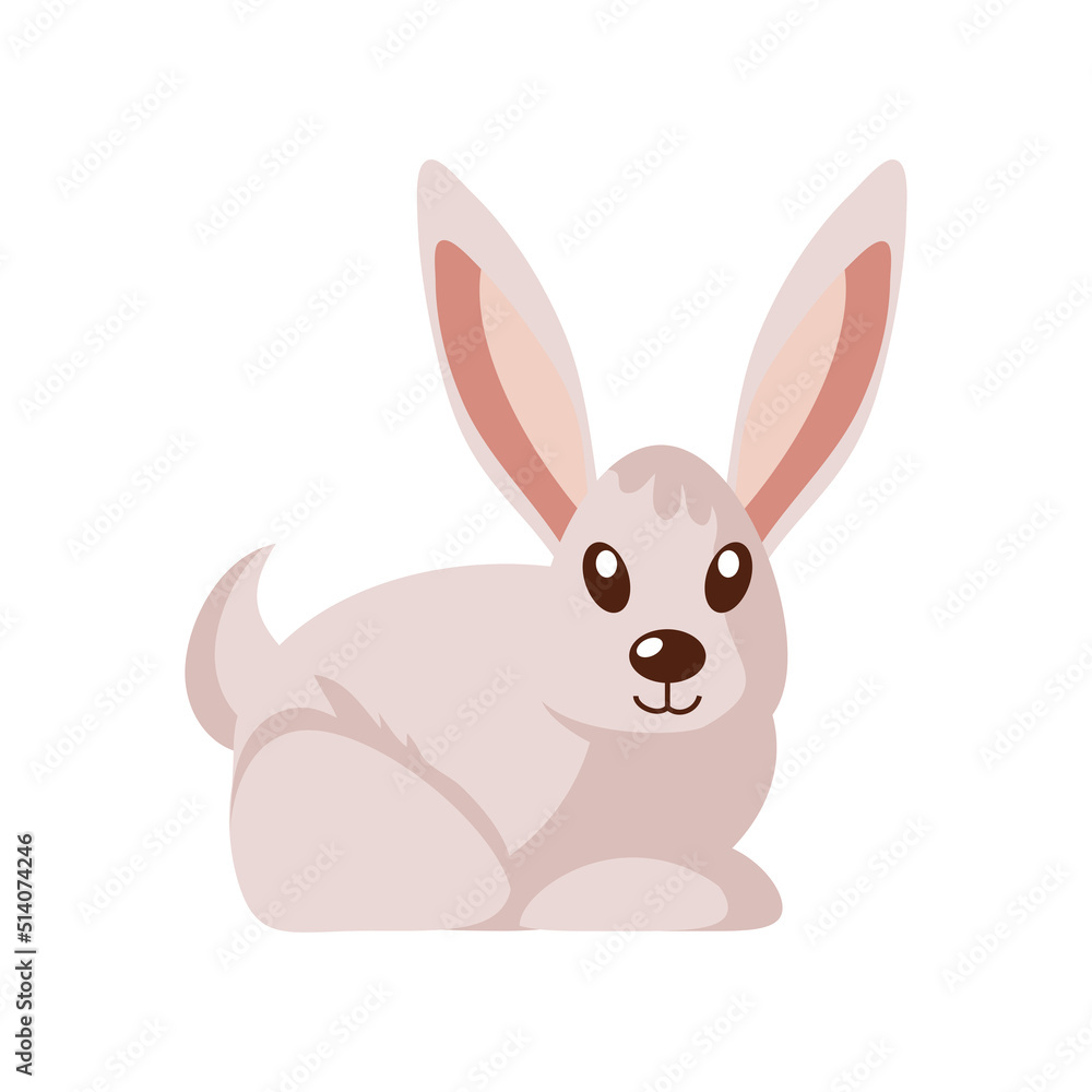cute rabbit animal cute rabbit animal
