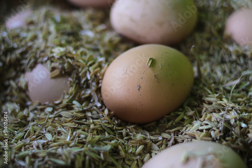 brown eggs on rice husk photo