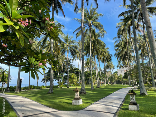 Senggigi Beach West Nusa Tenggara, Indonesia December 14, 2021: Two paths that divide between the dense coconut trees on the beach