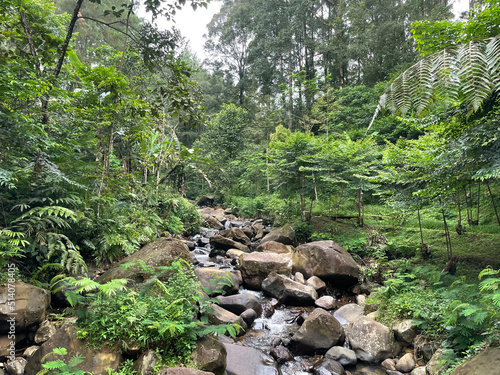 The river flows between the rocks in the lush tropical forest