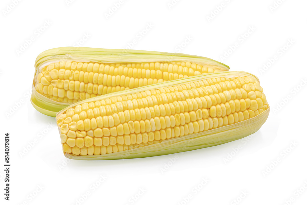 Corn isolated on white background with clipping path Corn isolated on white background with clipping path