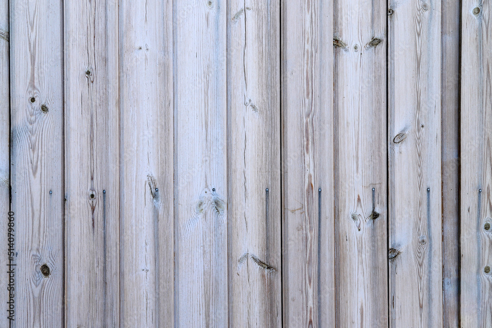 The white wooden wall made of sandpapered panels with multiple knots as a background The white wooden wall made of sandpapered panels with multiple knots as a background