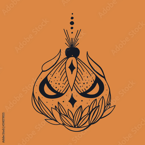 butterfly ornament, logo, vector, logo design, beetle, botanical composition, ethnic, pattern, astrology, sign, moon, icon, stars