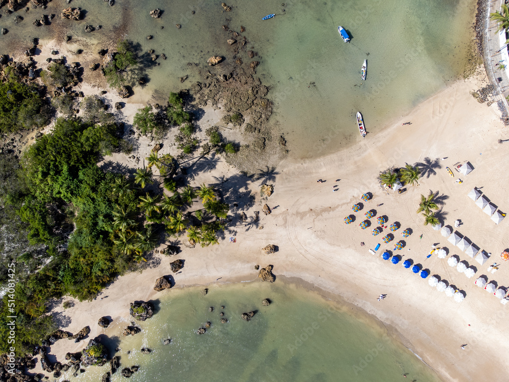 Drone top view of beautiful stretch of beach with mangrove vegetation and coconut trees - Morro de São Paulo, Bahia, Brazil
