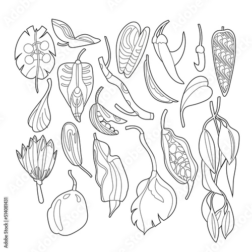A set of black and white fantastic tropical leaves
