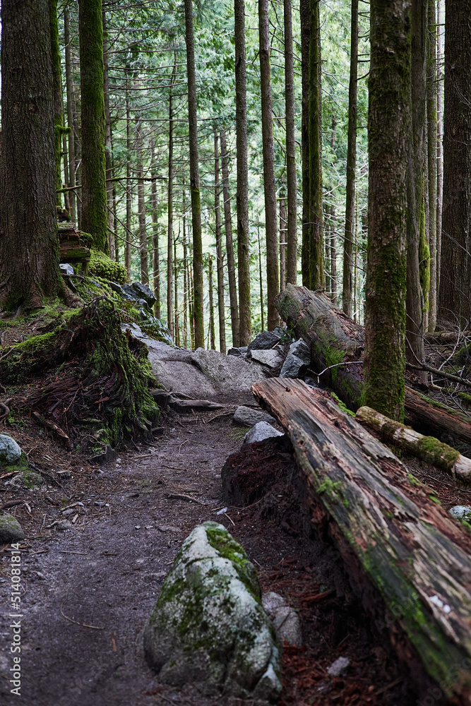 Golden Ears Provincial Park
As one of the largest parks in the province, Golden Ears Provincial Park is prized for its recreational opportunities. The extensive system of trails within the park provid Golden Ears Provincial Park
As one of the largest parks in the province, Golden Ears Provincial Park is prized for its recreational opportunities. The extensive system of trails within the park provid