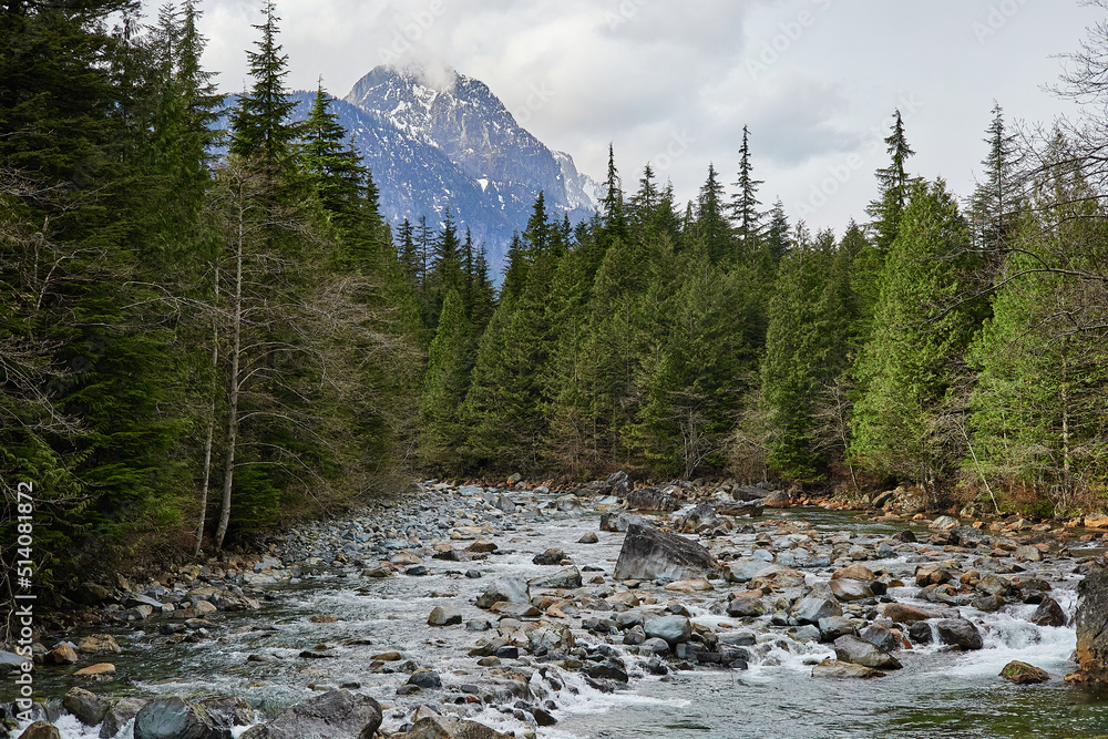 Golden Ears Provincial Park
As one of the largest parks in the province, Golden Ears Provincial Park is prized for its recreational opportunities. The extensive system of trails within the park provid Golden Ears Provincial Park
As one of the largest parks in the province, Golden Ears Provincial Park is prized for its recreational opportunities. The extensive system of trails within the park provid
