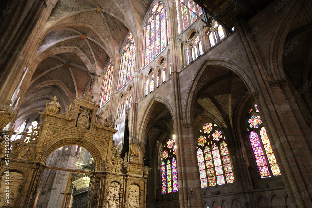 Fototapeta premium cathedral of leon