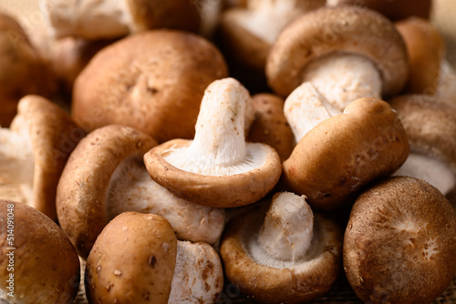 Fresh shiitake mushroom, edible mushroom and food ingredient in Asian cuisine