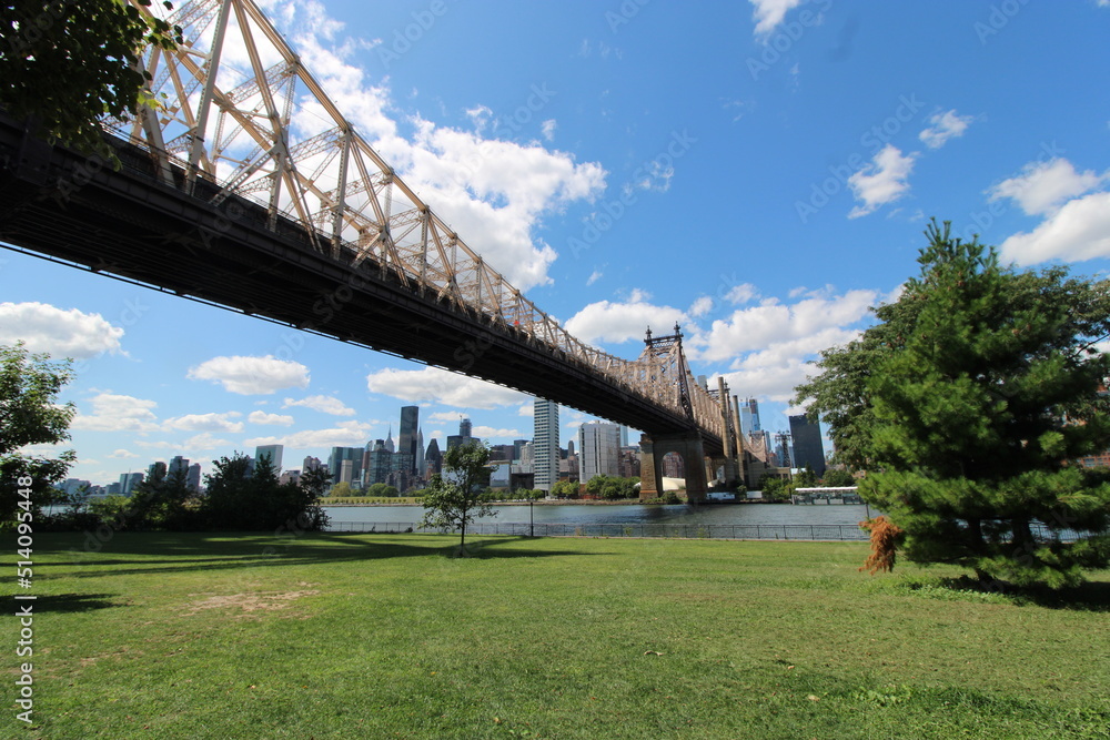 Fototapeta premium bridge in the park