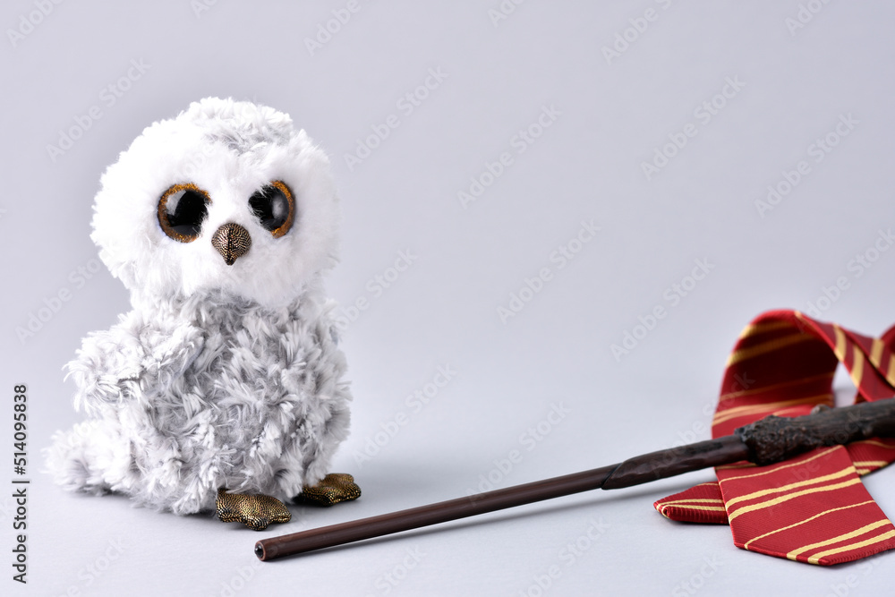 Fototapeta premium Coruja Edwiges Harry Potter