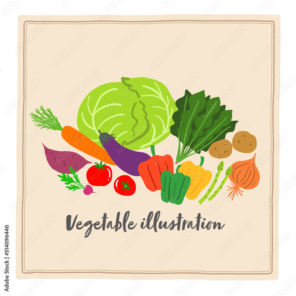 野菜の手描きイラスト 野菜の手描きイラスト