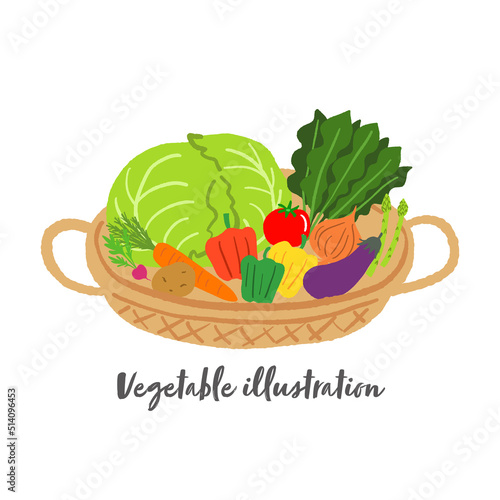 かごに入った野菜の手描きイラスト