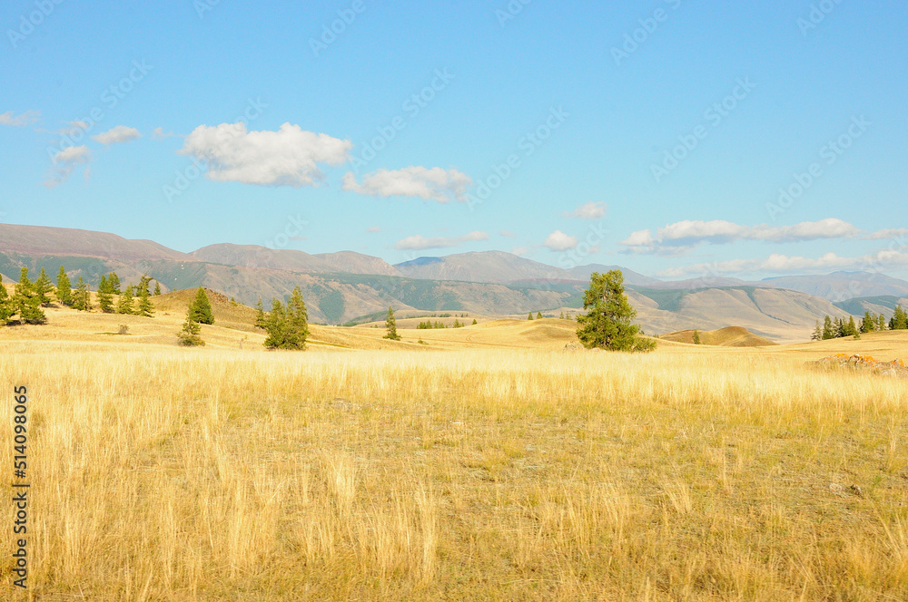 A hilly valley with dried grass and a few trees against the backdrop of high mountains.