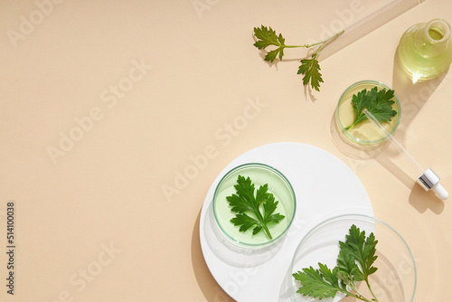 Top view of mugwort ( artemesia vulgaris ) decorated in petri dish glassware white podium and beige background photo