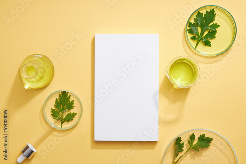 Top view of mugwort ( artemesia vulgaris ) decorated in petri dish glassware and beige background photo