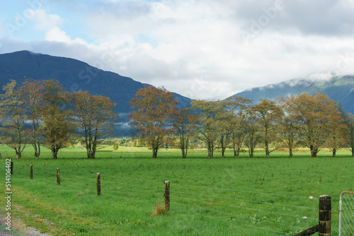 Fototapeta Naklejka Na Ścianę i Meble -  Rural landscape with fence, hedge row and mountain backdrop of Southern Alps in South Island new Zealand