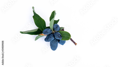 Ripe honeysuckle berries with leaves on white background.