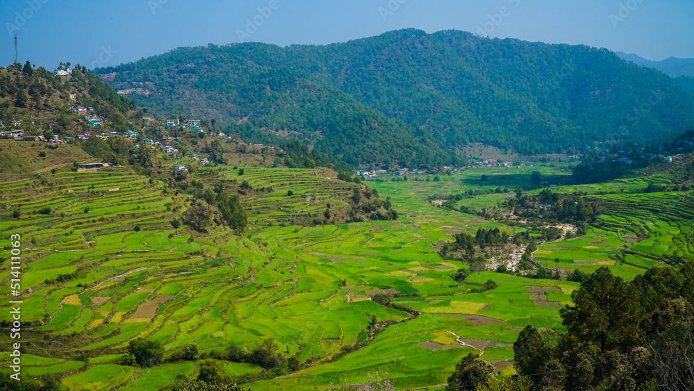 agricultural fields in the countryside of Kausani, Almora, mountain hills valley in Uttarakhand, Ranikhet. Nature Panoroma landscape background.