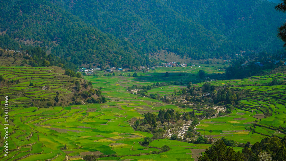 agricultural fields in the countryside of Kausani, Almora, mountain hills valley in Uttarakhand, Ranikhet. Nature Panoroma landscape background.