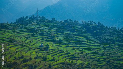 Photography Beautiful agriculture Step Farming Areal Panorama Photography from Ranikhet Utta