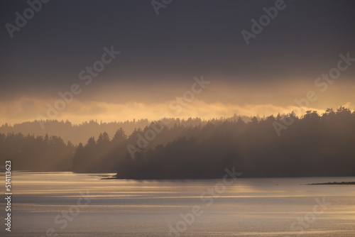 dark skies over forest by the sea