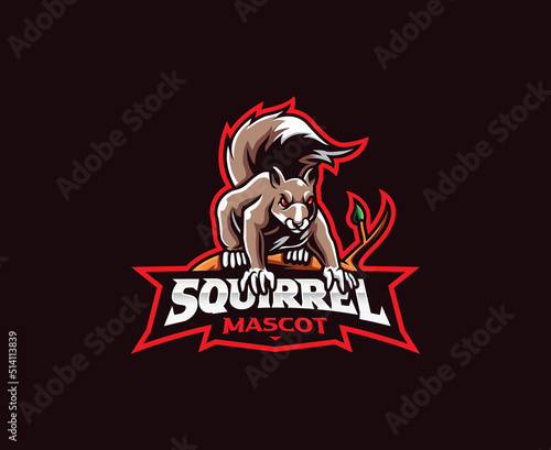 Squirrel mascot logo design