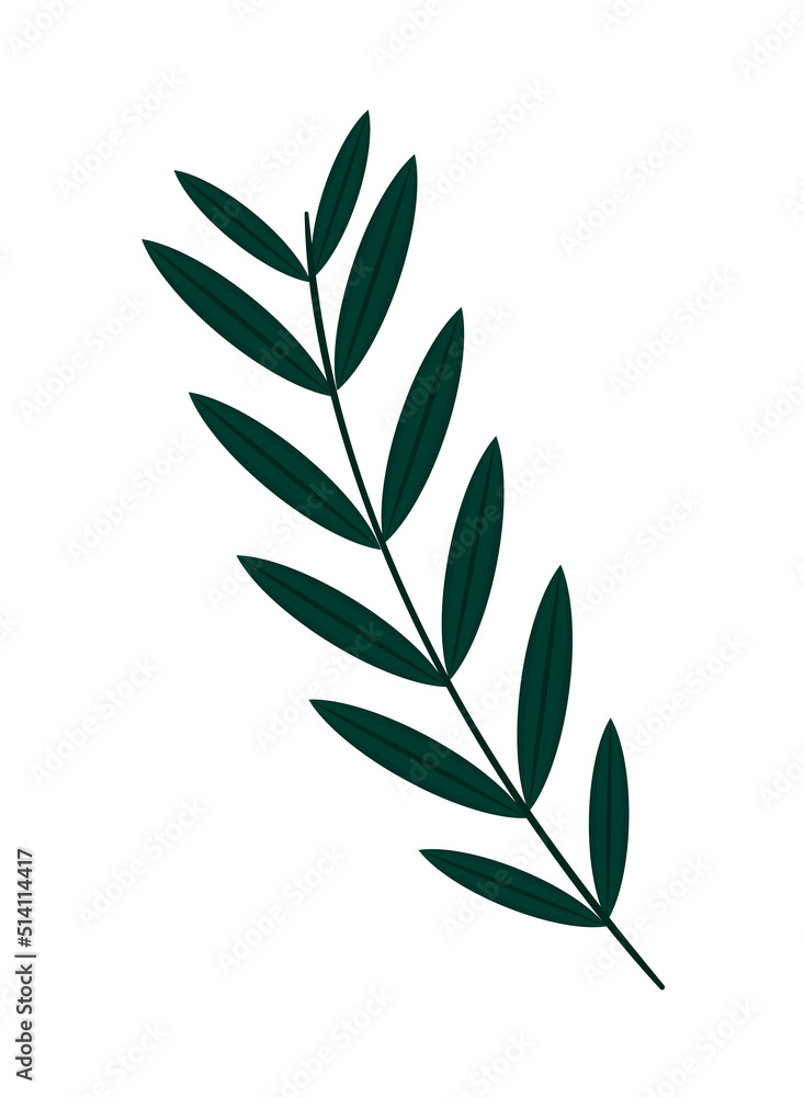 leaves nature icon leaves nature icon
