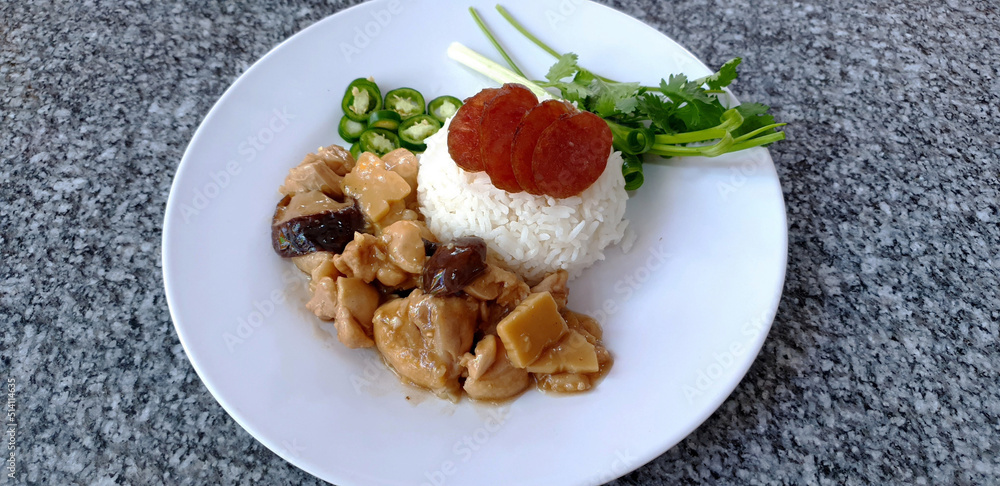 Chicken with sauce over rice Chicken with sauce over rice