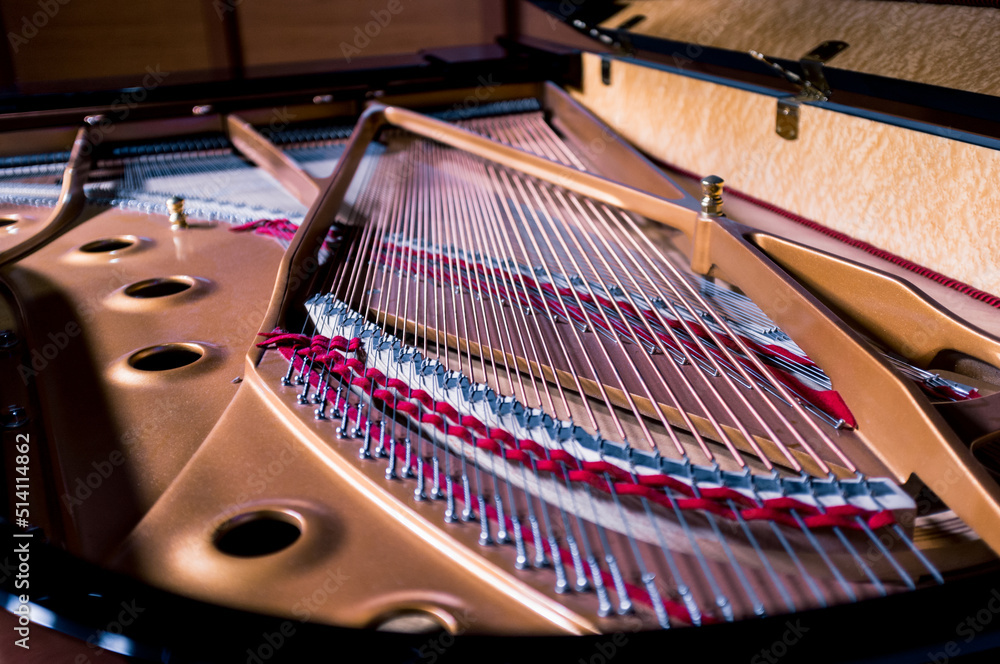 Inside of A Grand Piano Inside of A Grand Piano