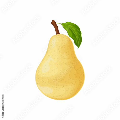 Pear. The image of a pear is yellow. Ripe sweet pear. Fresh garden fruit. Vitamin vegetarian product. Vector illustration isolated on a white background