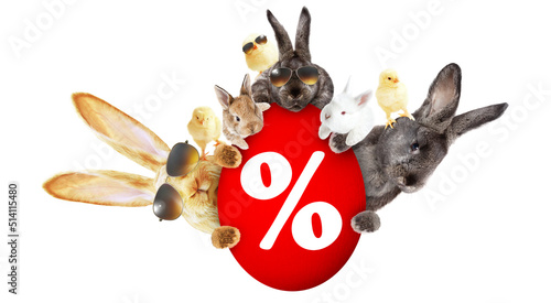 Funny Easter bunny. Happy Easter holiday concept.