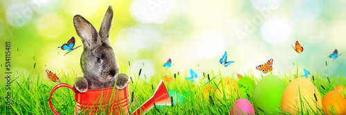 Funny Easter bunny. Happy Easter holiday concept.