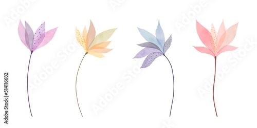 Set of delicate watercolor flowers. Transparent petals and buds