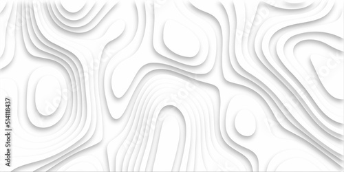 Abstract design with black and white abstract background . Abstract papercut and multi layer cutout geometric pattern on vector, Abstract soft white background with waves, textured Papercut .