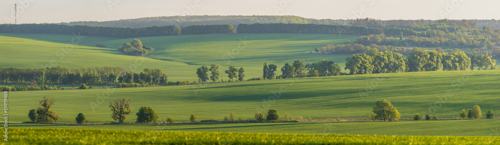 Rural green agricultural fields and hills in Ukraine